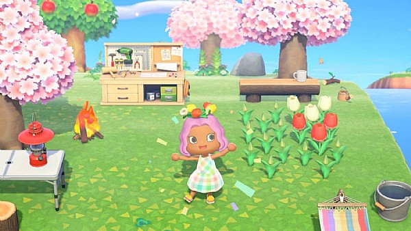 Animal Crossing: New Horizons