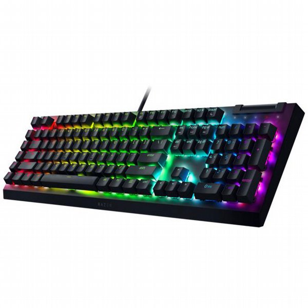 ����� ������� ����� Razer Blackwidows V4 X