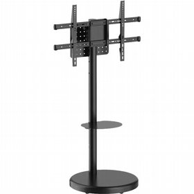 ���� ���� ������ ���� ������ - �� "75