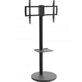 ���� ���� ����� ������ ���� ������ - �� "75