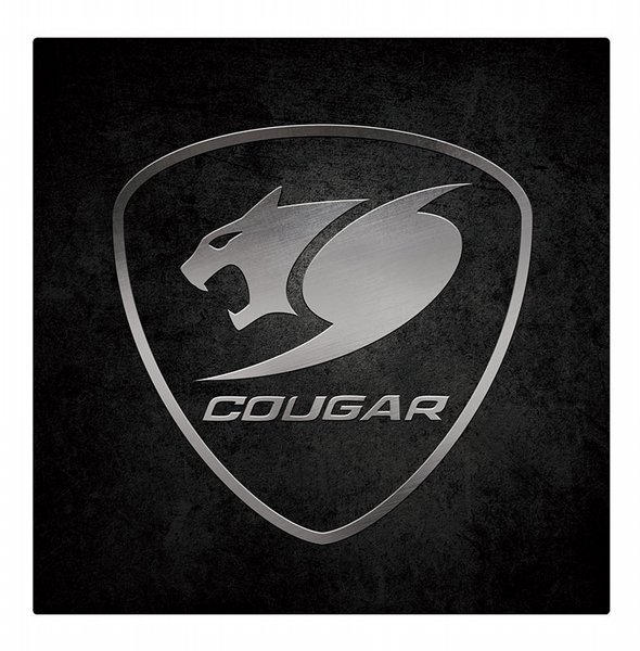 ���� ����� ������� COUGAR COMMAND