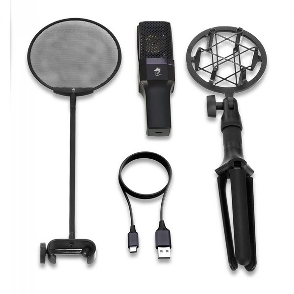 �������� ������ ����� Dragon Pro Studio Condensor