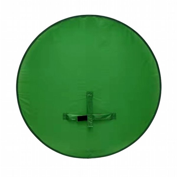 ��� ���� Dragon Green Screen