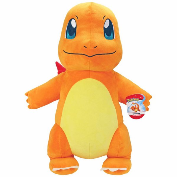 ����� ������ ���� ������� Charmander
